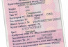 Ищу поддон Ман 51058016169. 