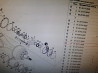 Ищу на МАН тга бортовой редуктор правый 81351110028. 