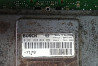 Ищу 0281020024 блок управления двигателем MAN TGA. 