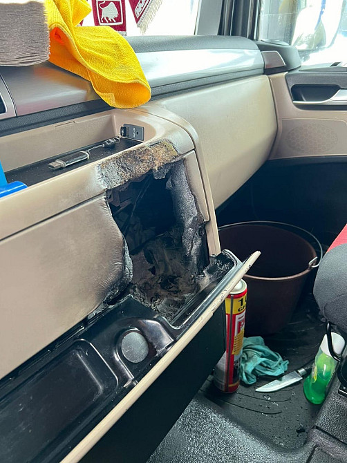 У кого есть кабина на разбор MAN TGX, нужны эти элементы.  - photo 1