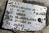 Ищу 81350106253 редуктор MAN HY-1350 37:10 3,7. 