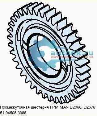 Нужна шестерня ГРМ промежуточная Man, 51.04505-3066. Вся Россия